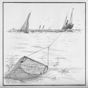 उच्च गुणवत्ता नीचे Trawl